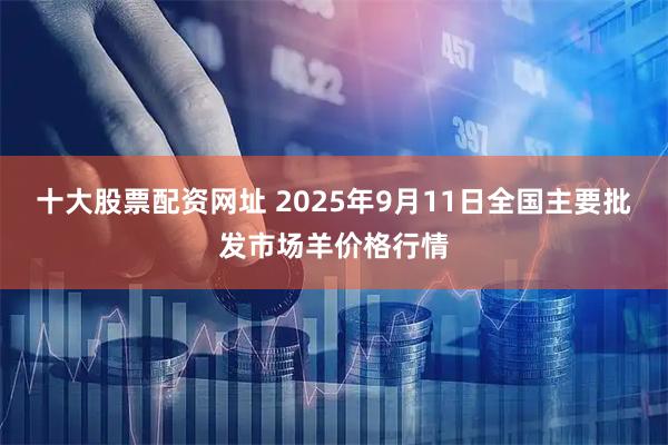 十大股票配资网址 2025年9月11日全国主要批发市场羊价格行情