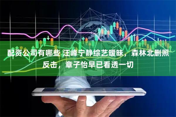 配资公司有哪些 汪峰宁静综艺暧昧，森林北删照反击，章子怡早已看透一切